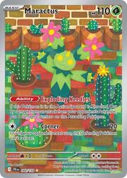 Maractus