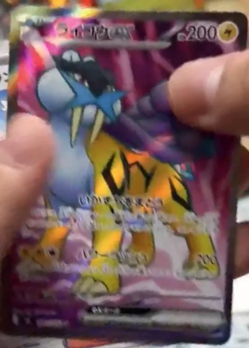 Raikou ex