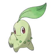Chikorita