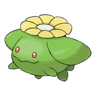 Skiploom