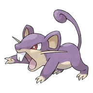 Rattata