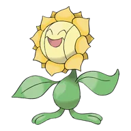 Sunflora