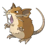 Raticate