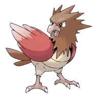 Spearow