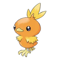 Torchic
