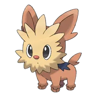 Lillipup