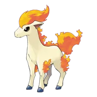 Ponyta
