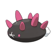Pyukumuku