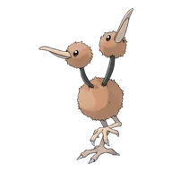 Doduo
