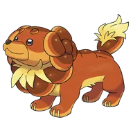 Dachsbun